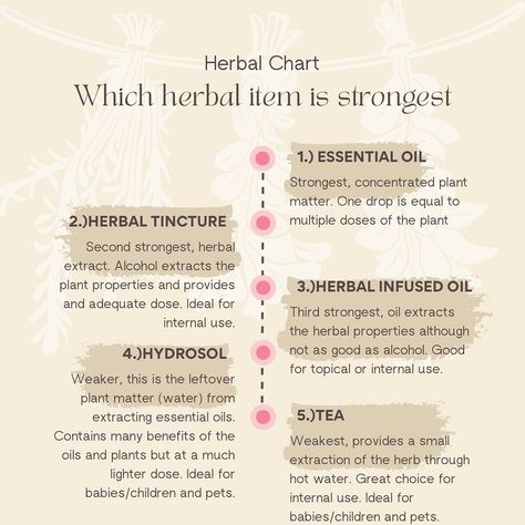 Which do I use? Well it depends on what you’re wanting. I made this handy little herbal chart that shows the difference between all of the herbal products. Essential oils are the most potent, teas are the weakest. Depending on who you are, what you’re wanting and why you want to utilize herbs you might choose any of these for varying reasons. I prefer tinctures and teas for internal use. • Which do you prefer to use? #aromatherapy #aromatherapist #herbs #herbalism Tonics And Tinctures, Herbal Elixir Recipes, Herbal Tincture Recipes Healing Herbs, Herbal Tinctures Recipes, Tincture Recipes, Tinctures Herbal, Herbal Infused Oil, Essential Oils Uses Chart, Grunge Beauty