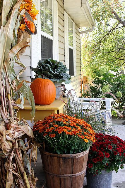 Galvanized Tubs On The Porch Diy Mums, Moss Centerpieces, Fall Front Porch Ideas, Wraparound Porch, Fall Mums, Galvanized Tub, Senior Overalls, Porch Planters, Terrace Decor