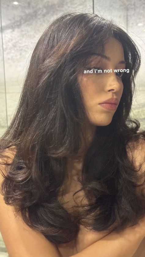 Kimberly Hair, Black Hair Aesthetic, Hair Color Underneath, Brown Hair Inspo, Blow Dry Hair, Dyed Hair Inspiration, Cindy Kimberly, Hair Reference, Hair Inspo Color