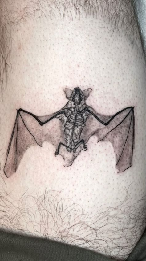 Emo Gothic Tattoos, Back Bat Tattoo, Bat Tattoo On Stomach, Realistic Bat Drawing, Bat Chest Tattoo Men, Bat Tattoo Stomach, Bat Tattoo Thigh, Bat Chest Piece, Bats Flying Tattoo