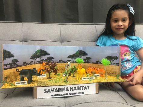 Savanna Diorama, Biome Diorama, Geography Project, Habitats Projects, Animal Habitats, Art Plastique, Elementary School, School Activities, Geography