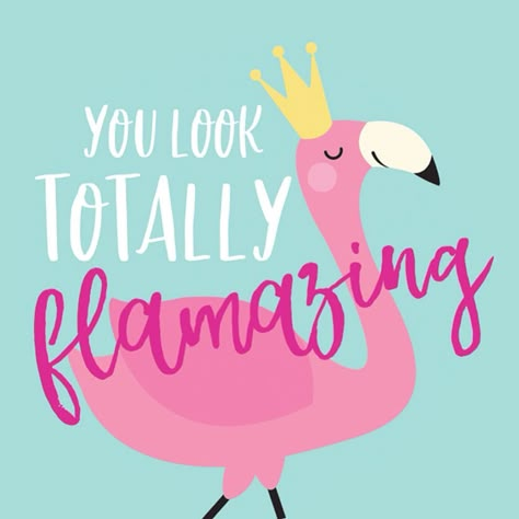 Flamingos Quote, Happy Birthday Animals, Birthday Animals, Fancy Flamingo, Flamingo Birthday Party, Funny Flamingo, Flamingo Theme, Fiesta Tropical, Flamingo Decor