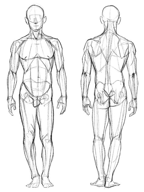 Anatomy Drawing Practice, Man Anatomy, Human Anatomy Drawing, Human Figure Drawing, Figure Reference, Anatomy Sketches, Anatomy For Artists, Body Reference Drawing, Drawing Exercises