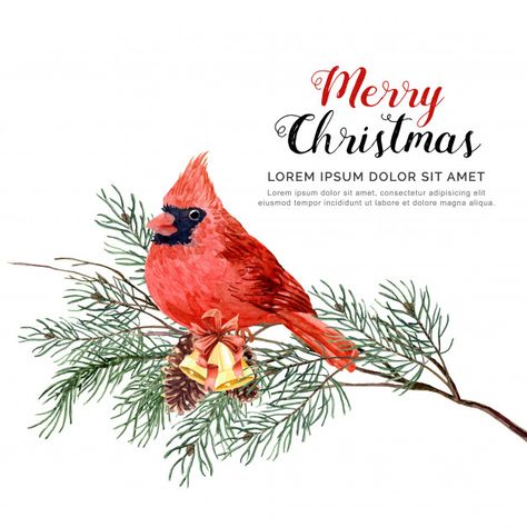 Cardinal Christmas Cards, Christmas Graphic Design, Bird Christmas, Graphic Design Cards, Christmas Cardinals, Christmas Blessings, Cardinal Bird, Watercolor Christmas Cards, Christmas Bird