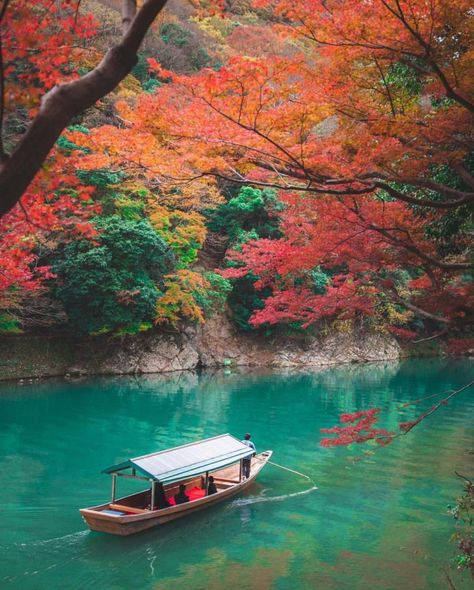 Japan Autumn, Japan Instagram, Japanese Nature, Japan Landscape, About Japan, Japanese Landscape, Japan Aesthetic, Instagram Layout, Autumn Scenery