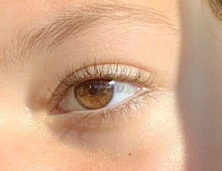 Honey Brown Eyes Aesthetic, Honey Eyes Aesthetic, Honey Brown Eyes, Light Brown Eyes, Bright Undereye, Honey Eyes, Brown Eyes Aesthetic, Pretty Brown Eyes, Amber Eyes