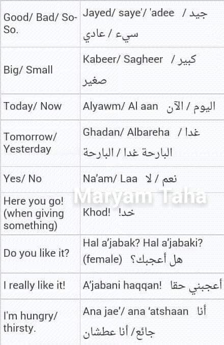 Arabic Slang, Latin Language Learning, Lebanese Arabic, Arabic Learn, Learning Arabic For Beginners, Modern Standard Arabic, Arabic Sentences, Learn Arabic Online, Learn Another Language