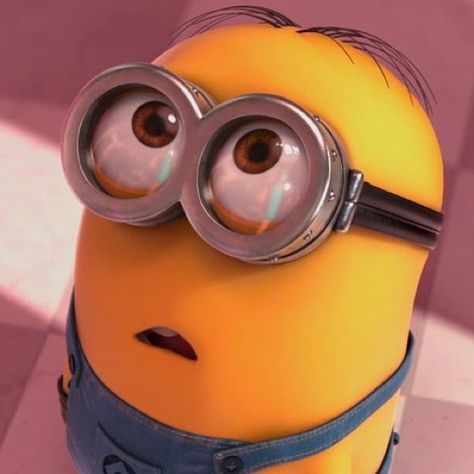 micahtweten:  corset2kneehighs:  This is the face I make when I want things and I want to look cute… plus when having a mild shocked face, lol❤️ 3 Minions, Minions Images, Minion Gif, Shocked Face, Minion Banana, Minion Pictures, Minions Love, Cute Minions, Minions Wallpaper