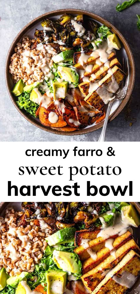 Farro Sweet Potato, Marinated Brussel Sprouts, Bowl With Sweet Potato, Sweet Potato Tofu, Buddha Bowl Recipe, Grain Bowl Recipe, Healthy Fall Dinner, Harvest Bowl, Farro Recipes