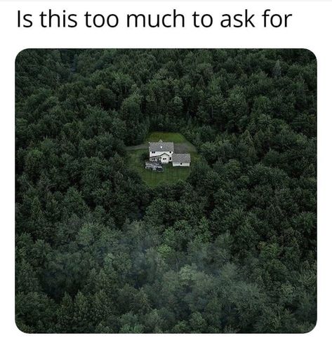 Assorted Memes To Lighten Things Up Cabin In The Woods, Struggle Is Real, Lots Of Money, Cabins In The Woods, Nature Landscape, Best Memes, Fast Cars, Vermont, A House