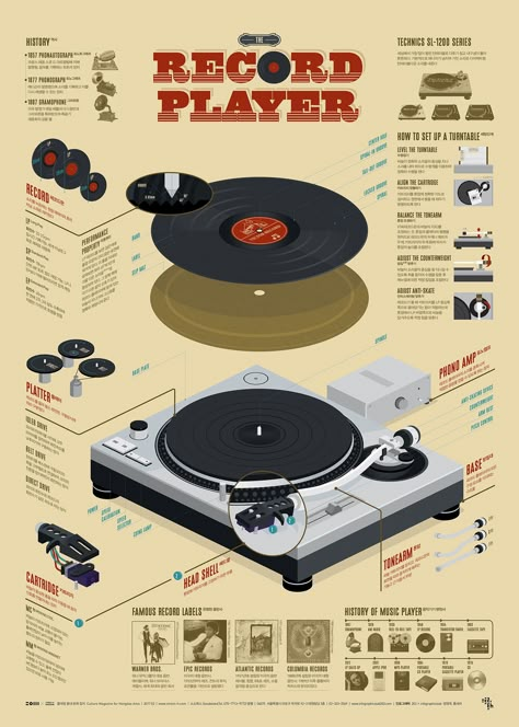 Infographic Examples, Infographic Layout, Infographic Inspiration, Infographic Design Layout, Graphic Design Infographic, Creative Infographic, Infographic Poster, Infographic Illustration, Infographic Design Inspiration