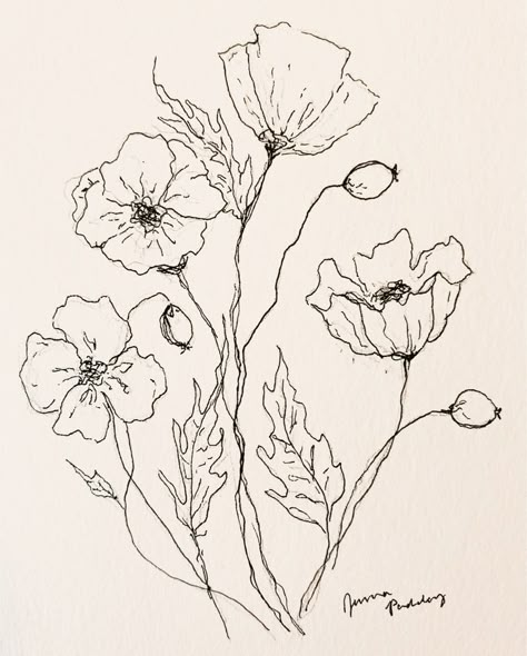 Poppies Line Drawing, Cute Sketches Flowers, California Poppies Drawing, Flower Drawing Poppy, Poppy Ink Drawing, Poppyseed Flower Tattoo, Vintage Poppy Illustration, Poppy Flower Drawing Tattoo, Poppies Flower Drawing