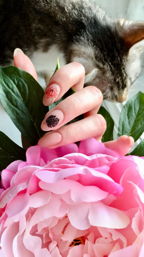 cat peony nail art flowers Peony Nail Art, Peony Nails, Gel Nail Design, Flower Nail Art, Pink Interior, Art Flowers, Gel Nail, Nail Design, Hair And Nails