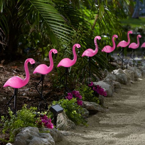 Our tropical friends uplift your garden and backyard as they glow prettily in pink at night. Dimensions: 7 1/2"W x 20 1/4"HEach uses 1 rechargeable AA battery (included)Imported  | Flamingo Solar Stake Lights, Set of 10 by BrylaneHome in Multi Plastic Flamingo, Flamingo Lights, Tattoo Plant, Flamingo Garden, Flamingo Decor, Flamingo Art, Outdoor Lighting Landscape, Solar Garden, Outdoor Solar