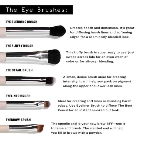 Eyeshadow Brushes Guide Cheat Sheets, Eyeshadow Brushes Guide, Makeup Tutorial Foundation Flawless Face, Kate Talbert, Makeup Utensils, Jones Road, How To Use Makeup, Makeup Life Hacks, Makeup Pictorial