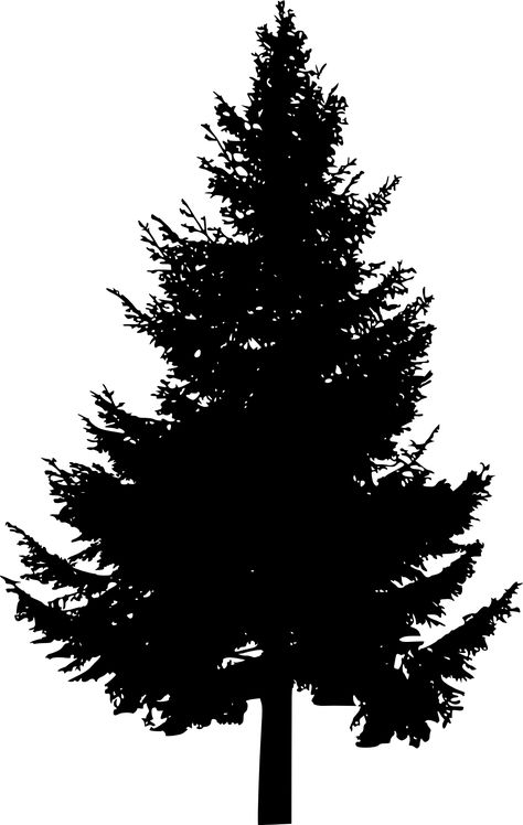 Pine Tree Silhouette Painting, Pine Tree Silhouette Printable, White Pine Silhouette, Fir Tree Silhouette, Spruce Tree Silhouette, Black Pine Tree, Silhouette Wallpaper, Slayer Tattoo, Pine Tree Silhouette