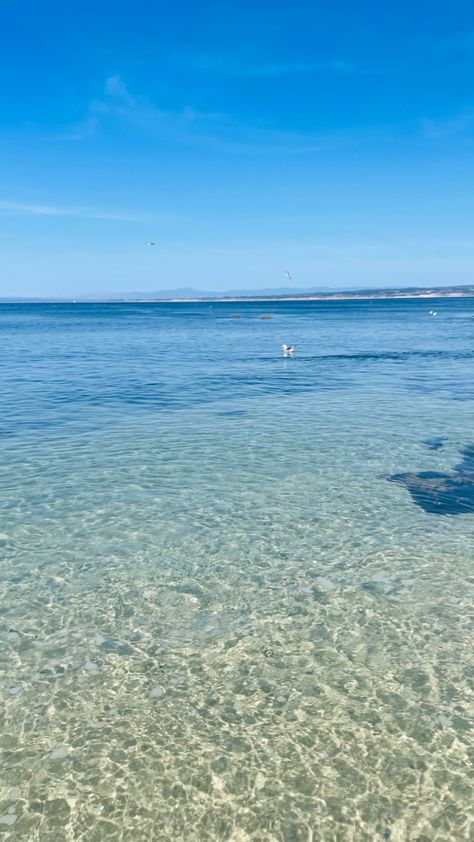 Pacific Grove at a clear ocean area, Lovers Point Beach Clear Ocean, Ocean Grove, Pacific Grove, Paradise