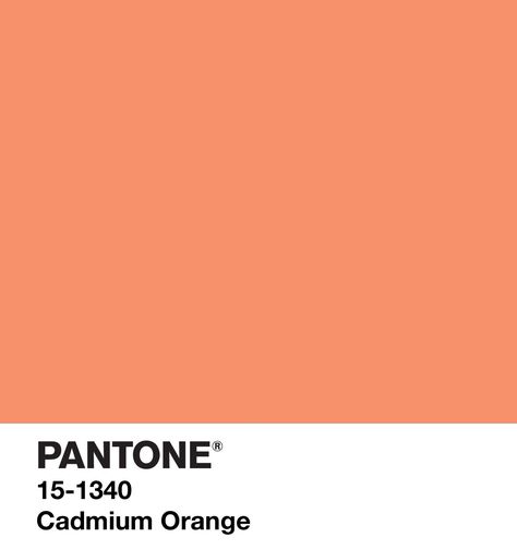 Orange Pantone, Orange Gemstones, Peachy Aesthetic, Cadmium Orange, 2015 Style, Pantone 2020, Fall 2015 Style, Pastel Orange, Different Aesthetics