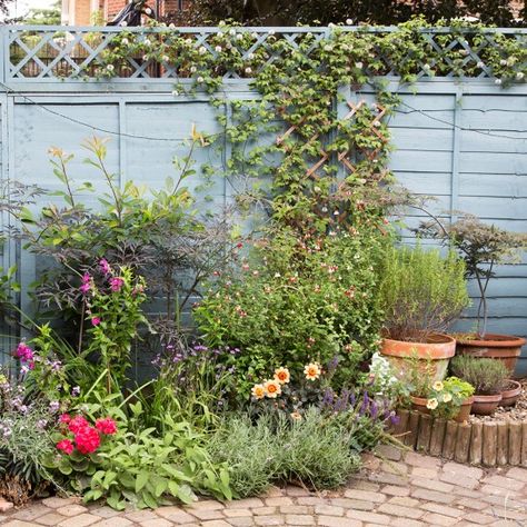 Garden fence looking a little tired? How about a colourful lick of paint to brighten things up? We love the cornflower blue shade that has been used here Garden Fence Paint, Blue Fence, Garden Fence Panels, Garden Wallpaper, Fence Decor, Garden Pictures, Unique Gardens, Flowers Wallpaper, Perfect Garden