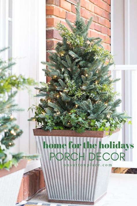 Winter Front Porch Decor After Christmas, White Tree Decorations, White Tree Decorations Decorating Ideas, Outdoor Holiday Planters, Porch Christmas Tree, Holiday Porch Decor, Mini Home Gym, Porch Trees, Outdoor Christmas Planters