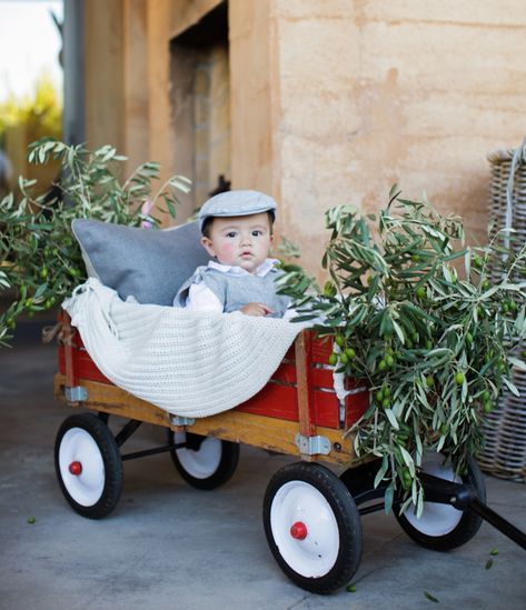 Sweetest ring bearer wearing a newsboy cap and in a little red wagon. Event Design: Shannon Leahy Events Wagon For Wedding, Napa Valley Wedding, Napa Wedding, Red Wagon, Wine Country Wedding, St Helena, Rustic Barn Wedding, Valley Wedding, Outdoor Backyard