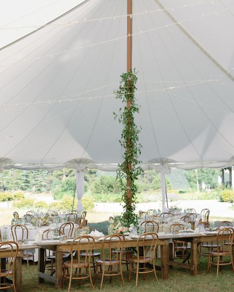 Considering a tented reception? PSA that all tents are nooootttt created equal. Sailcloth? walls? pole covers? draping? lighting? flooring?! So much to consider. DM us for our input if you’re feeling lost on what route you should go for this big ticket item on your wedding checklist 🏳️ Planning + Design | @curatedenver Venue + Catering | @greystonecastleboulder Beverage | @cocktailcaravanco Photography | @mckenziecoylephotography Floral | @figmentfloral Rentals | @copartyrentals Music | @dan... Tented Reception, Vintage Colour Palette, Tent Reception, Tent Poles, Sailing Outfit, Wedding Checklist, Feeling Lost, Vintage Colors, Tent