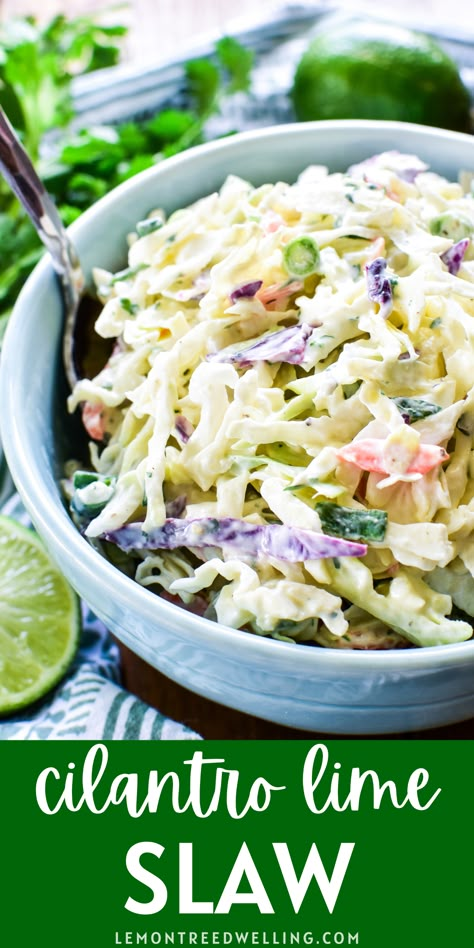 Cilantro Lime Slaw Recipe, Cilantro Coleslaw Recipe, Mexican Slaw Recipe, Lime Coleslaw Recipe, Cilantro Coleslaw, Cilantro Lime Coleslaw, Slaw For Tacos, Mexican Fiesta Food, Cabbage Salsa