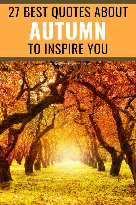 25 Best Autumn Quotes, Messages, and Sayings For The Fall Season #autumnquotes #autumnquotesandsayings #fallquotes #fallquotes #octoberquotes Fall Family Quotes And Sayings, Quotes For Fall, Quotes About Autumn, Quotes About Fall, Fall Quotes And Sayings, Fall Quotes Autumn, Fall Season Quotes, Autumn Quotes Inspirational, Thanksgiving Thoughts