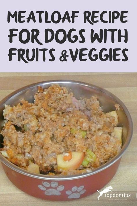 Pup Loaf Recipe, Gravy For Dogs Homemade, Meatloaf For Dogs, Dog Meatloaf Recipe, Dog Gravy Recipe, Healthy Meatloaf Recipe, Chihuahua Quotes, Meatloaf Recipes Healthy, Healthy Meatloaf