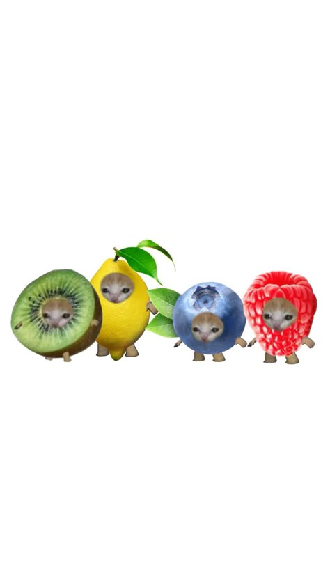 fruit cats group Pfp With 2 Ppl In It, Wallpaper Backgrounds Fruit, Group Icons Funny, Group Chat Profile Pictures For 4 People, Cute Wallpapers Food, Cute Funny Wallpapers Iphone, Matching Wallpaper Funny, Fruit Wallpaper Iphone, Fruit Wallpaper Aesthetic