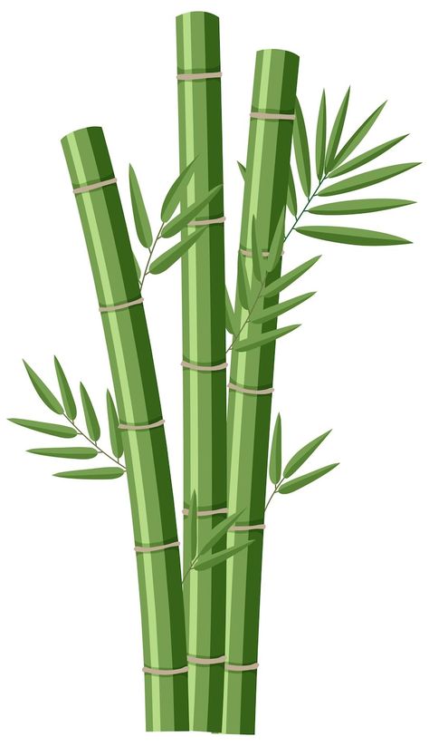 Free Vector | Free vector isolated bamboos on white background Bamboo Drawing, Bamboo Tree, Baby Dress Design, Drawing Simple, Tree Images, Premium Colors, Tree Drawing, Psd Files, Dress Design