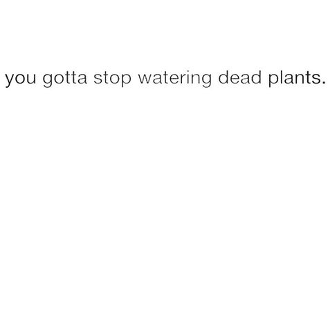 Stop watering dead plants Watering Quotes, Too Busy Watering My Own Grass Words, Keep Watering Yourself You're Growing, Quotes On Giving, Stop Watering Dead Plants Quote, Don’t Open Dead Inside, Plants Quotes, Giving Quotes, Youve Been