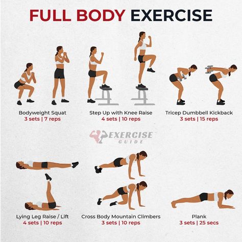 Full-body exercises for a complete workout! 💪 #fitness #workoutathome #fullbody Extreme Full Body Workout, Abc Workout, Full Body Bodyweight Workout, Beginner Full Body Workout, Complete Workout, Total Workout, Body Exercises, Major Muscles, Toning Workouts