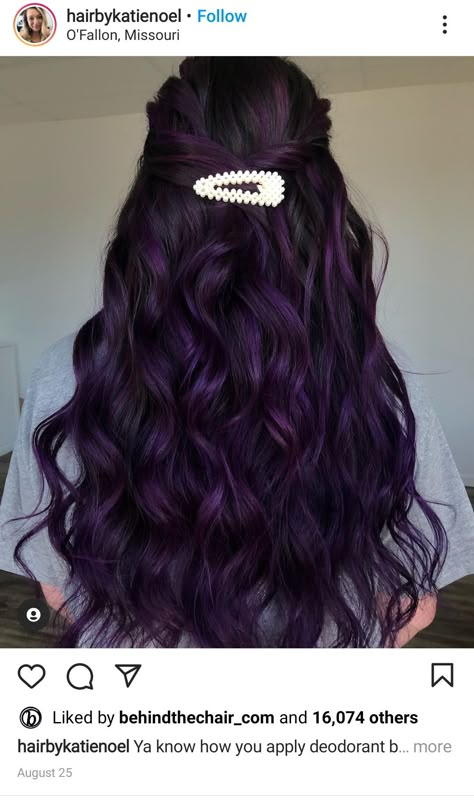 Dark Purple Balayage Black Hair, Hair Colour Ideas Purple, Dark Purple Hair With Black, Blackberry Hair Color Dark, Blackberry Hair, Blackberry Hair Colour, Pelo Color Vino, Purple Hair Highlights, Purple Balayage