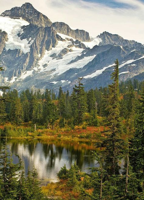 Awesome scenery Mt Shuksan, Cascade National Park, North Cascades National Park, Cascade Mountains, North Cascades, Road Trip Usa, Pine Trees, Mountain Range, Washington State