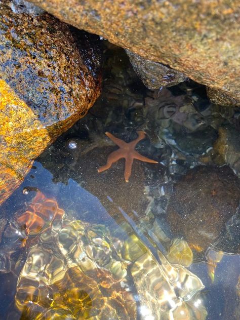 Reflection Aesthetic, Water Reflection, Cottage By The Sea, Ocean Rocks, Self Care Bullet Journal, Beach Rocks, Pool Photos, Water Reflections, Tide Pools