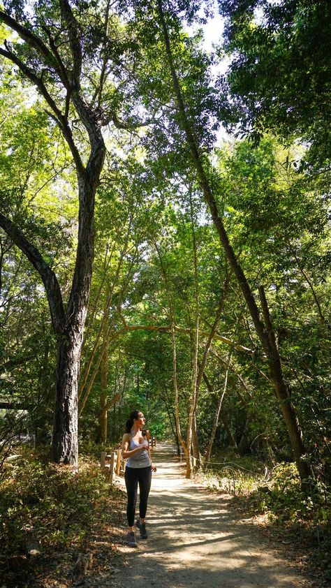 Grounding Practices, Wellness Vibes, Physical Well Being, Forest Therapy, Nature Therapy, Mental Health Inspiration, Winter Arc, Life Map, Hiking Spots