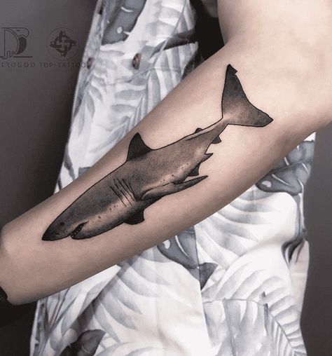 Mako Shark Tattoo, Shark Tooth Tattoo, Hammerhead Shark Tattoo, Tooth Tattoo, Nyc Tattoo, Tattoo Shading, Tattoos Inspiration, Shark Tattoo, Ocean Tattoos