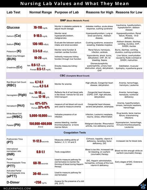 Nursing Lab Values and What They Mean #nursingstudent #nurse #resources - Image Credits: NCLEX-RN Pass Nurse Goals, Nurse Photography, Nurse Motivation, Pacu Nurse, Nursing School Studying Cheat Sheets, Nursing School Organization, Motivation Student, Nurse Career, Nursing Labs