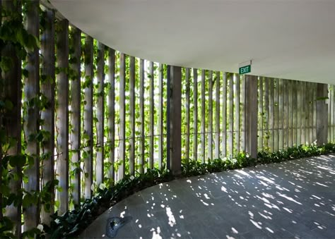 Case Sotterranee, Vtn Architects, Vo Trong Nghia, Green Facade, Precast Concrete, Green Architecture, Hanging Garden, Facade Architecture, Facade Design