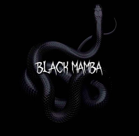 Black Mamba Aesthetic, Black Mamba Aespa, Black Mamba Logo, Aespa Black Mamba, Winter Karina, Sneakers Wallpaper, Karina Giselle, Ning Ning, Mma Training