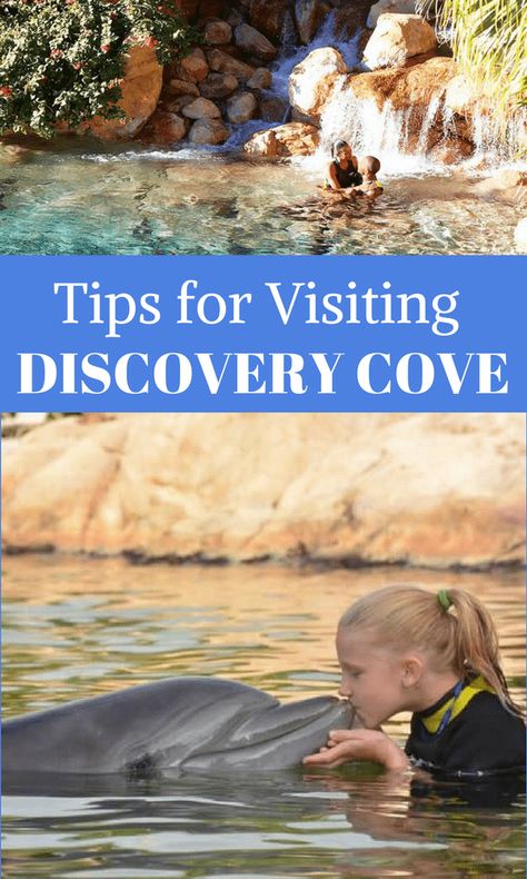 Considering a trip to Discovery Cove in Orlando? We have tips for making your visit a success. Discovery Cove Orlando, Best Beaches In Florida, Beaches In Florida, Best Beach In Florida, Florida Family Vacation, Orlando Theme Parks, Dream Trips, Florida Destinations, Seaworld Orlando