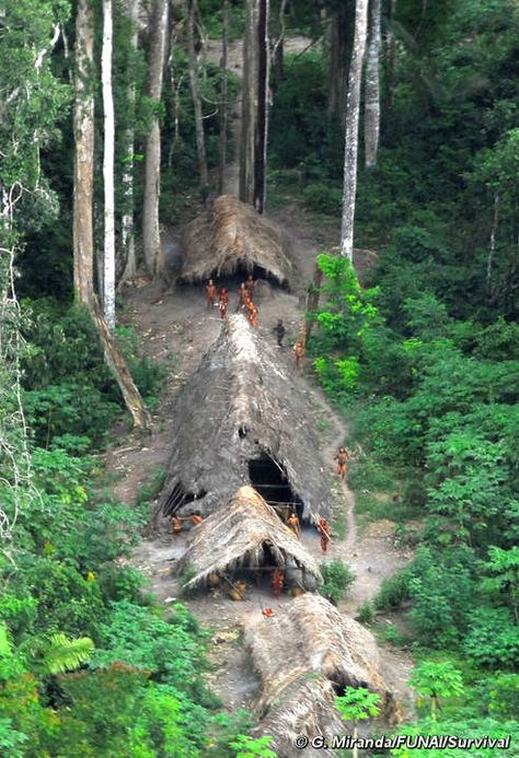 Uncontacted Indians in the Brazilian Amazon, May 2008. Many are under increasing threat from illegal logging over the border in Peru. North Sentinel Island, Amazon Tribe, Living In Brazil, Indigenous Tribes, Amazon Rainforest, People Of The World, Rare Photos, Bolivia, Aerial View