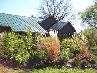 creative ways to enclose your leach field - Google Search Leach Field Landscaping, Mound Garden, Septic Mound Landscaping, Mound Landscaping, Texas Landscaping Ideas, Talking To Plants, Leach Field, Lake House Landscaping, Yard Drain