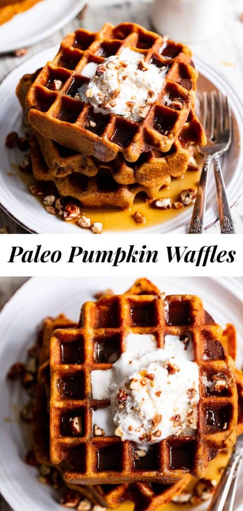 Paleo Fall Desserts, Paleo Pumpkin Waffles, Paleo Pumpkin Recipes, Pumpkin Waffles Recipe, Paleo Running Momma, No Bake Pumpkin Cheesecake, Pumpkin Coffee Cakes, Paleo Recipes Breakfast, Dairy Free Paleo