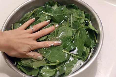 How to Cook Malabar Spinach | livestrong Cooked Spinach Recipes, Fresh Spinach Recipes, Cook Fresh Spinach, Spinach Side Dish, Spinach Recipes Healthy, Cooking Pork Roast, Steamed Spinach, Fresh Spinach, Leafy Vegetables