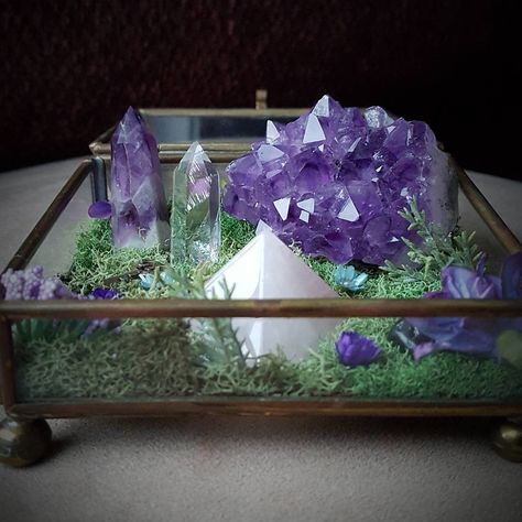 Crystal Widgets, Crystal Terrarium Ideas, Plant And Crystal Decor, Crystals Terrarium, Healer Magic, Stones In The Garden, Crystal Terrarium Diy, Crystal Altar Sacred Space, Crystal Crafts Pots & Planters