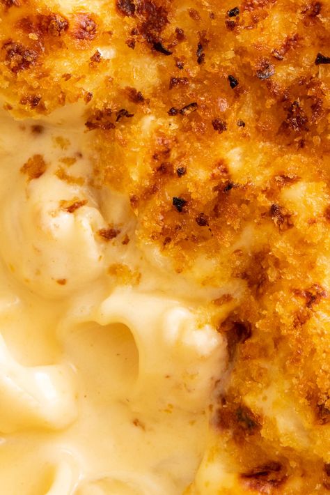 Learn how to make macaroni cheese with our comprehensive guide, and try our creamiest mac and cheese recipe. We reveal the secrets to the best macaroni cheese sauce, and tell you how to avoid common pitfalls. Macaroni Cheese Sauce, Creamiest Mac And Cheese, How To Make Macaroni, Best Macaroni And Cheese, Macaroni Cheese Recipes, Creamy Macaroni And Cheese, Creamy Mac And Cheese, European Recipes, Mac And Cheese Recipe