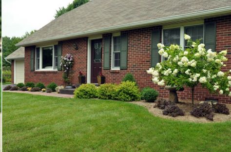 beautiful landscaping red brick house Ranch Home Landscaping, Ranch House Landscaping, Simple Landscape Design, Front Yards Curb Appeal, Cheap Landscaping Ideas, Small Front Yard Landscaping, Front Yard Design, Front Yard Garden Design, Red Brick House