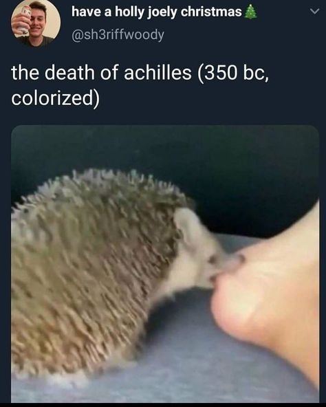 New Year Funny Memes, Hedgehog Meme, Memes 2022, The Kane Chronicles, Greek Memes, Greek Mythology Humor, Achilles And Patroclus, History Jokes, A Hedgehog